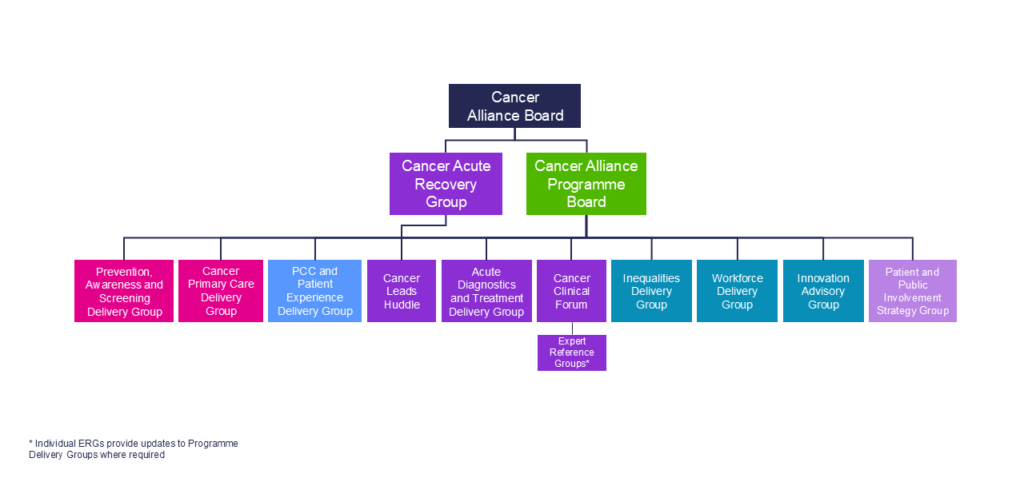 Organogram of NCL Cancer Alliance governance structure in brand colours